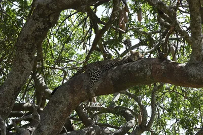 DSC_3983 (Large).JPG